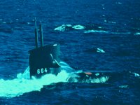 CEI50147.JPG