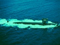 CEI50143.JPG