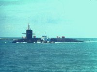 CEI50140.JPG