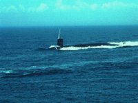 CEI50138.JPG