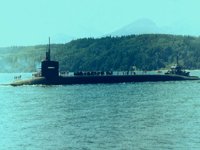 CEI50136.JPG