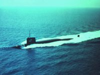 CEI50131.JPG