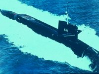 CEI50128.JPG