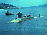 CEI50125.JPG
