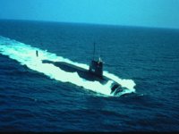 CEI50124.JPG