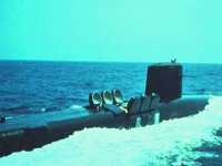 CEI50122.JPG