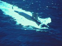 CEI50119.JPG