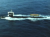 CEI50117.JPG