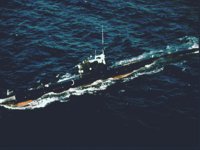 CEI50116.JPG