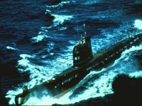 CEI50114.JPG