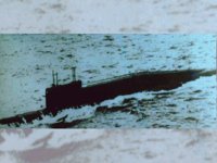 CEI50110.JPG