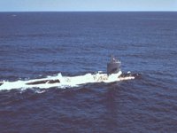 CEI50098.JPG