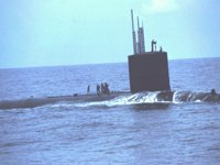 CEI50095.JPG