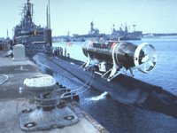 CEI50094.JPG