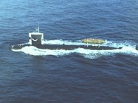 CEI50091.JPG