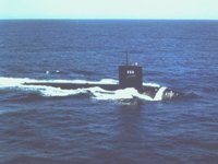 CEI50089.JPG
