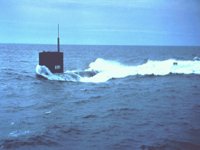 CEI50084.JPG