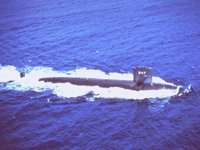 CEI50081.JPG
