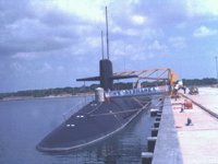 CEI50073.JPG