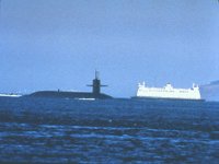 CEI50067.JPG