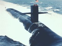 CEI50065.JPG