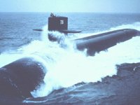 CEI50062.JPG