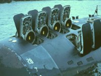 CEI50060.JPG
