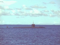 CEI50048.JPG