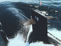CEI50046.JPG
