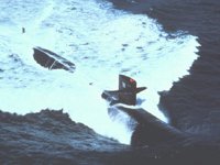 CEI50039.JPG