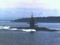 CEI50036.JPG