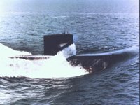 CEI50034.JPG
