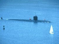 CEI50031.JPG