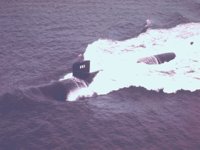 CEI50026.JPG
