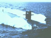 CEI50022.JPG