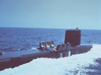 CEI50020.JPG
