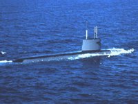 CEI50018.JPG