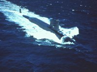 CEI50017.JPG