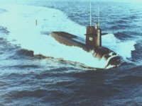CEI50015.JPG
