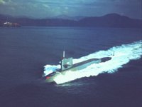 CEI50009.JPG