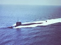 CEI50008.JPG