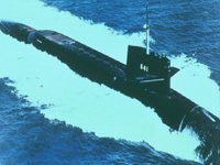 CEI50006.JPG