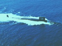 CEI50004.JPG