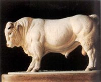 CEI50002.JPG