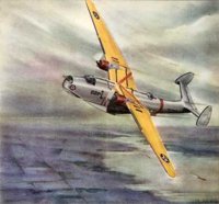 CEH51250.JPG