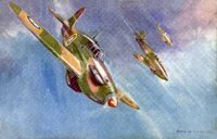CEH51248.JPG