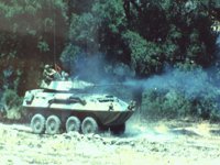 CEH51232.JPG