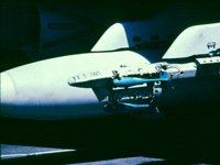 CEH51176.JPG