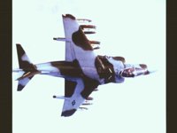 CEH51156.JPG