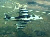 CEH51153.JPG
